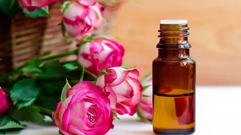 تصویر 1 از گلاب دو آتیشه مشکین با عصاره غلیظ و عطر ماندگار گل های ناب